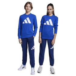 Adidas Παιδικές φόρμες σετ Essentials Big Logo French Terry Joggers Set